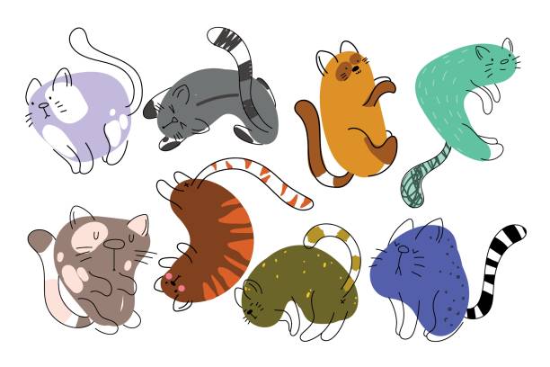 Web Set of fun kittens in different poses, doodle. Vector illustration. cat pose yoga stock illustrations