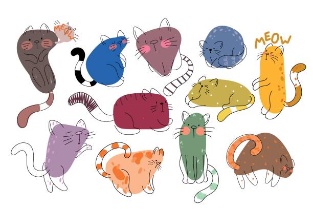 Web Cute and funny cats doodle vector set. Cartoon cat or kitten characters design collection with flat color in different poses. Set of purebred pet animals isolated on white background. cat pose yoga stock illustrations