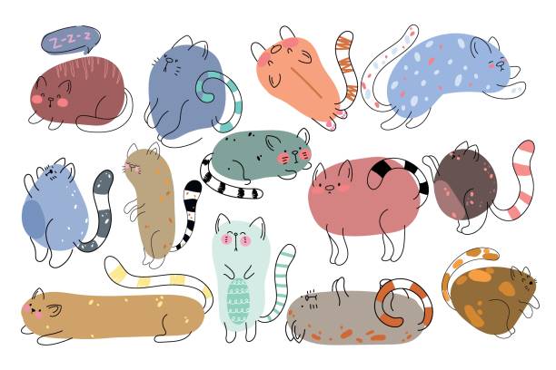 Web Cute and funny cats doodle vector set. Cartoon cat or kitten characters design collection with flat color in different poses. Set of purebred pet animals isolated on white background. cat pose yoga stock illustrations