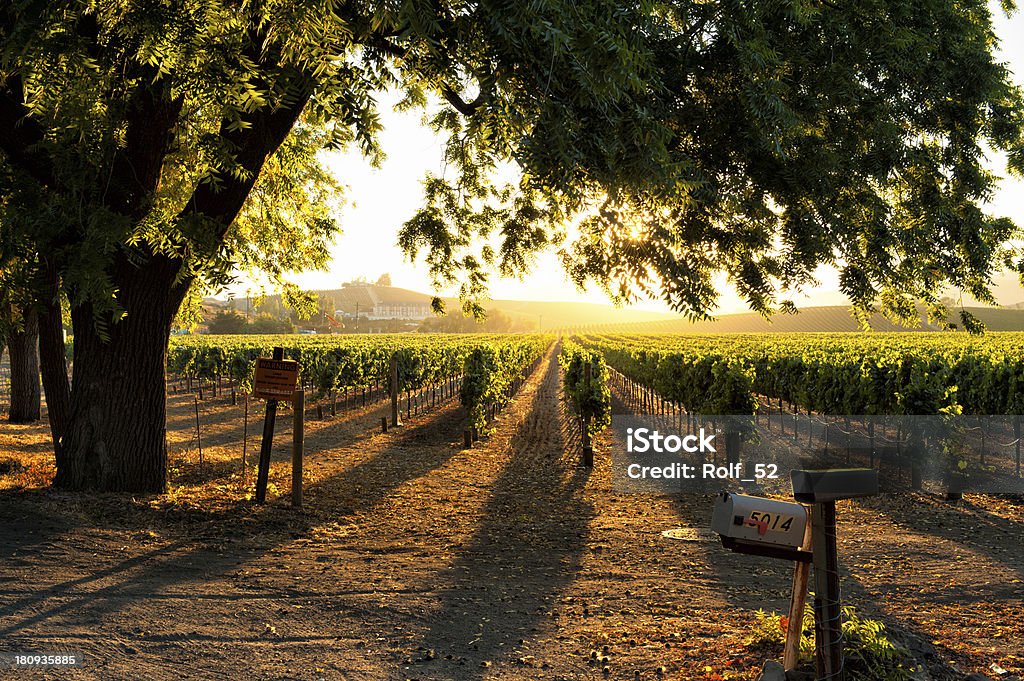 Sunset in Sonoma wine country Sunset in Sonoma wine country at harvest time Sonoma County Stock Photo