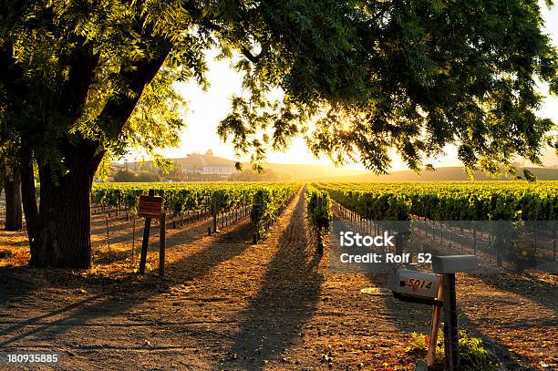 Sunset In Sonoma Wine Country Stock Photo - Download Image Now - Sonoma County, Vineyard, Sonoma