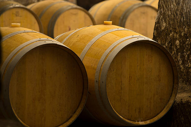 Barrel-Chai-Cellar-Wine-Bordeaux-Château Barrel-Chai-Cellar-Wine-Bordeaux-Château œnologue stock pictures, royalty-free photos & images