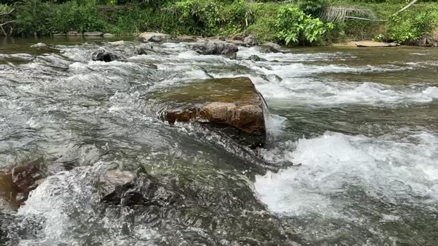 Slow motion shot of a flowing water of a stream in the forest