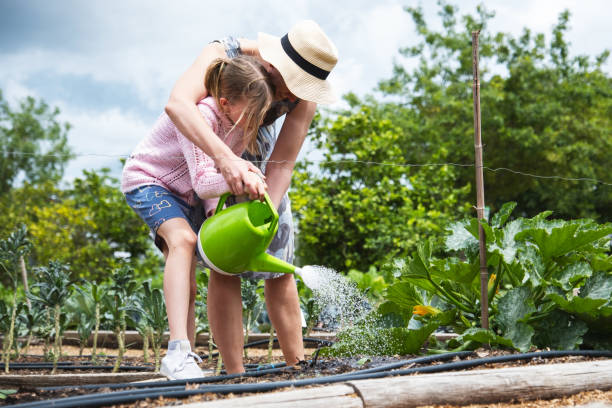 istock Mother helps her daughter water the young vegetable seedlings 1809371565