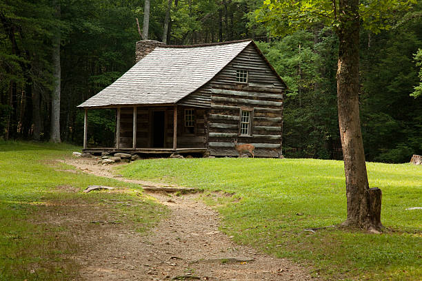 istock Log cabin in the wood with a deer beside 180938224