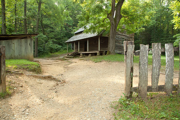 istock Log cabin farmhouse in the woods 180938274