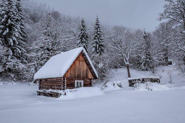 istock Abandoned log cabin hut in winter snowy misty forest 1809404933