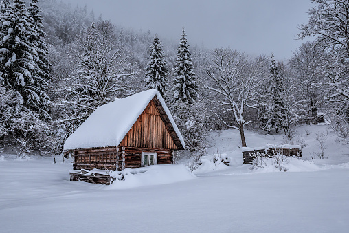 Abandoned wooden log cabin hut in winter snowy misty forest