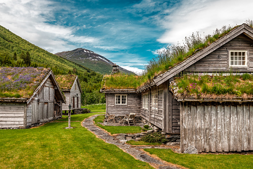 Abandoned wooden cabins hut with turf grass blooming roof in Norway