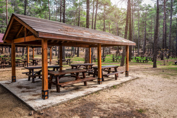 Picnic tables and grills are a popular location for summer activities.