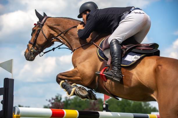 istock Horse jumping competition themed photograph 1809416703