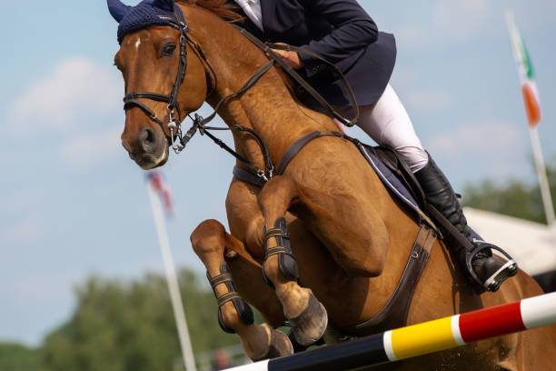 istock Horse jumping competition themed photograph 1809417209