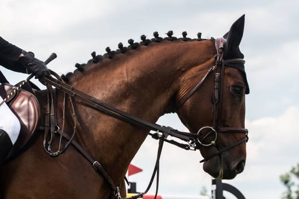 istock Horse jumping competition themed photograph 1809417214