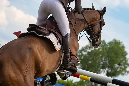 An unidentified horse rider on a horse during an equestrian competition.