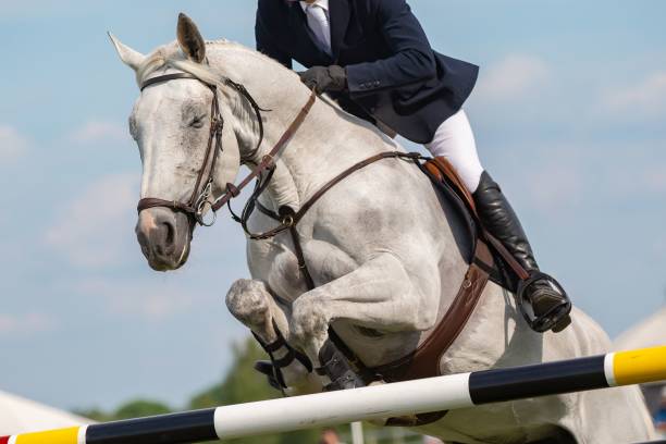 istock Horse jumping competition themed photograph 1809417217