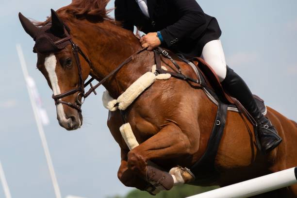 istock Horse jumping competition themed photograph 1809417221