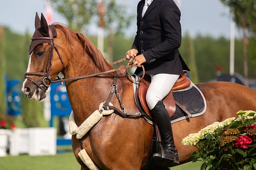 An unidentified horse rider on a horse during an equestrian competition.