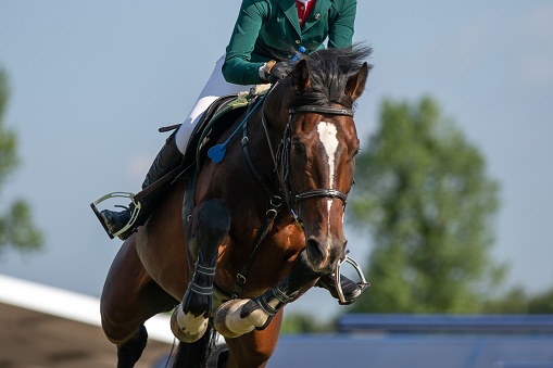 Horse Jumping or Show Jumping themed photograph.