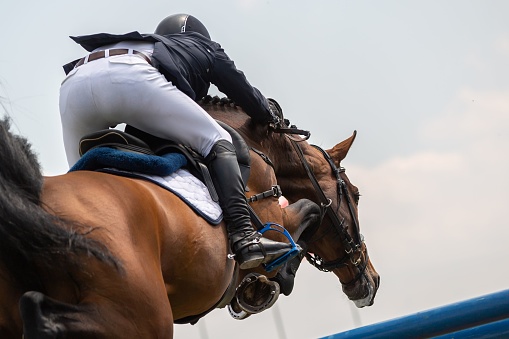 Horse Jumping or Show Jumping themed photograph.