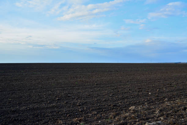 istock plowed agricultural field with cloudscape on background 1809424578