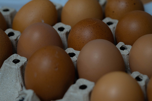 Several chicken eggs are placed on an egg tray. Can be used for cooking It works well as an explanatory book.