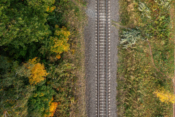 istock Railway through autumn forest. Aerial top view 1809425604