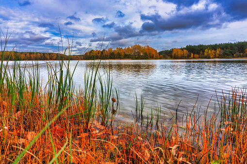Autumnal landscape of Kashubian lakes and forests, Poland