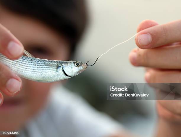 Little De Peces Foto de stock y más banco de imágenes de Lubina estriada - Lubina estriada, Mar, Actividades recreativas