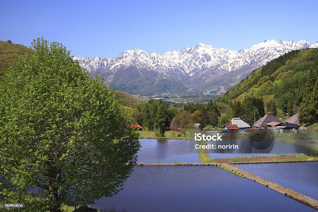 Giapponese Alpi e terrazza Risaia - Foto stock royalty-free di Acqua