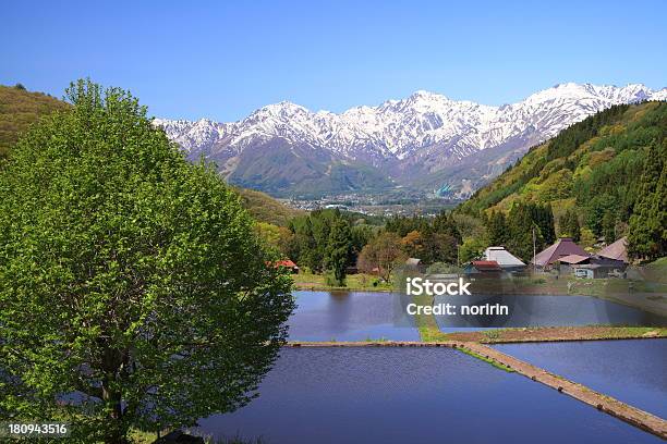 Giapponese Alpi E Terrazza Risaia - Fotografie stock e altre immagini di Acqua - Acqua, Agricoltura, Albero