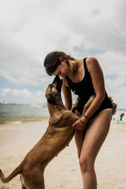 Split shot of a dog swimming from an island to the mainland in the cook islands