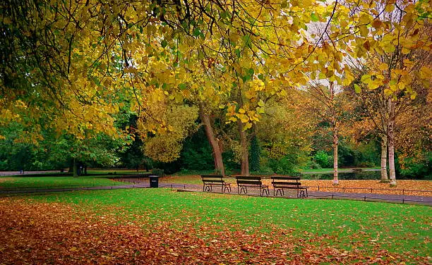 Photo of St.Stephen's Green