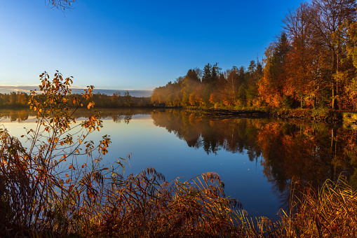 Wide angle view  of autumn reflections, Grasmere, Lake District National Park, Cumbria, England, UK