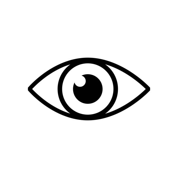 HUMAN EYE Icon Solid Style. Vector Icon Design Element for Web Page, Mobile App, UI, UX Design