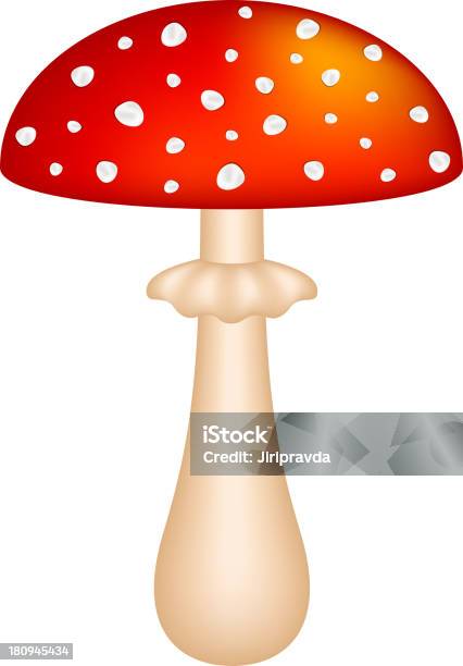 Amanita 0명에 대한 스톡 벡터 아트 및 기타 이미지 - 0명, 8월, 가을