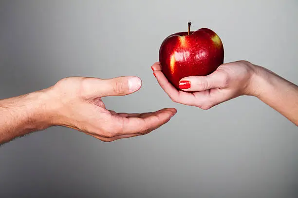 fresh red apple on a woman's hand, picture taken in the studio