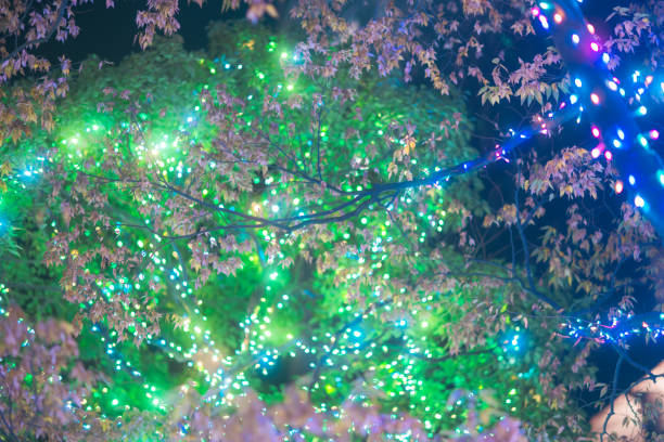 Christmas ornaments and illuminations in Roppongi