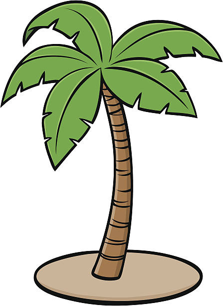 Palm Icon Palm Icon palm tree cartoon stock illustrations