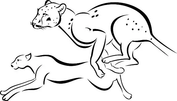 Vector illustration of Two running Leopard