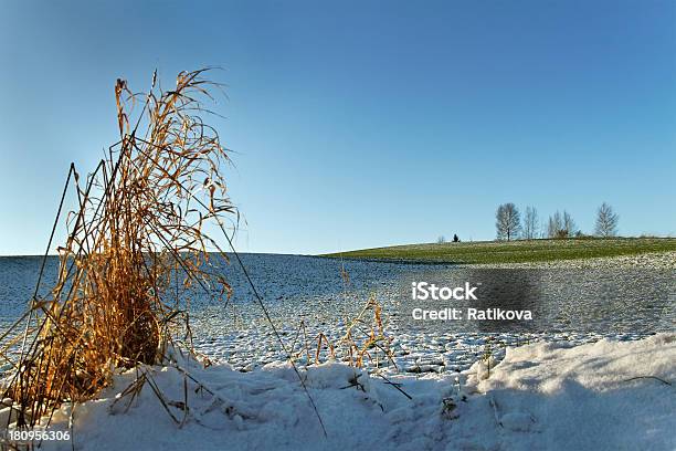 Neve Sulla Terra - Fotografie stock e altre immagini di Brina - Acqua ghiacciata - Brina - Acqua ghiacciata, Colore verde, Erba