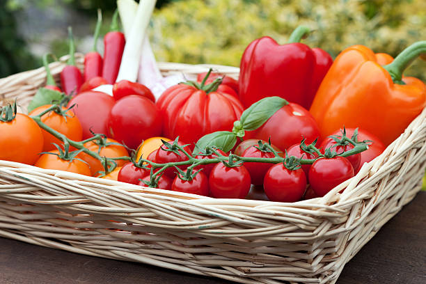 basket with tomatoes and peppers basket full of tomatoes aromatisch stock pictures, royalty-free photos & images