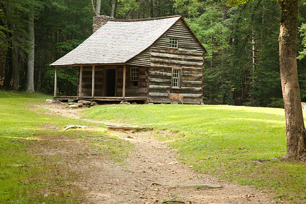 istock Log cabin in the wood with a deer beside 180957037