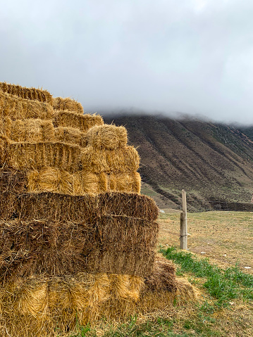 At the historic farmstead, the careful arrangement of hay bundles into rows creates a visually captivating and structured composition, offering a glimpse into the organized nature of the area's agricultural past.