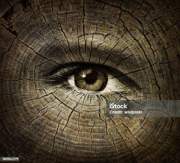 Agingkonzept Stockfoto und mehr Bilder von Auge - Auge, Baum, Jahresring