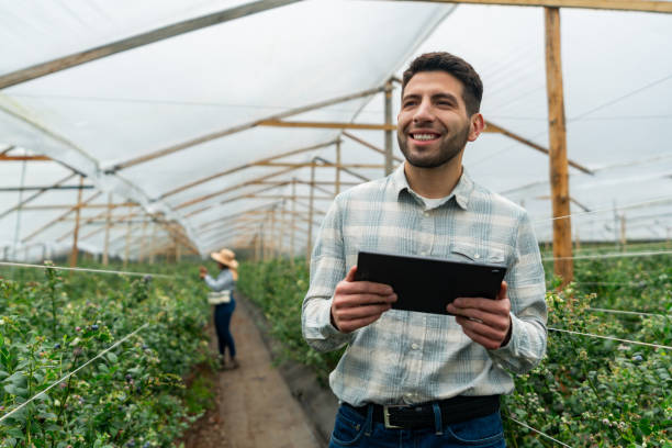 istock Agronomist working at a blueberry farm using a digital tablet 1809628375