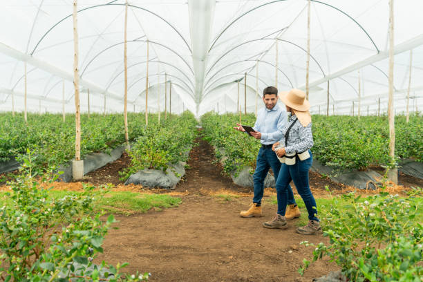 istock Farm manager talking to a worker about agriculture 1809628938