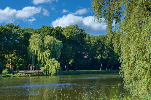 A place to relax in a beautiful park. Weeping willow and pergola.