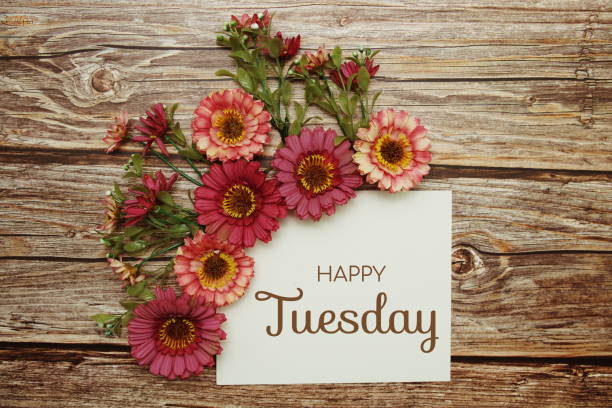 istock Happy Tuesday typography text with flowers on wooden background 1809636631