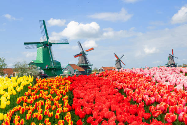 view of  Zaanse Schans