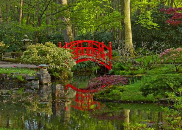 istock Japanese garden with bridge 1809651927